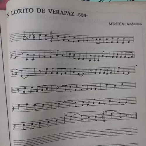 Letra de la canción Un Lorito de Verapaz