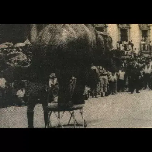 desfile 15 de septiembre de 1969