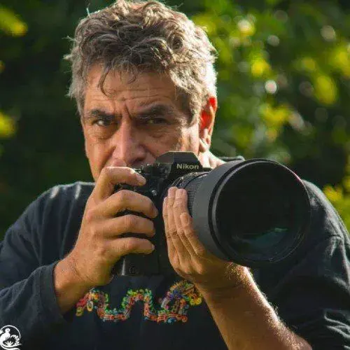 fotógrafos guatemaltecos