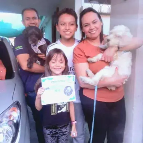 Amidogs donde adoptar perros