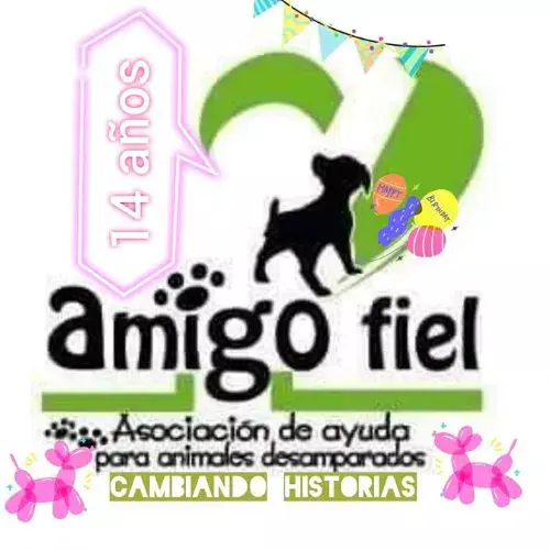 Asociación Amigo Fiel adoptar perros en Quetzaltenango