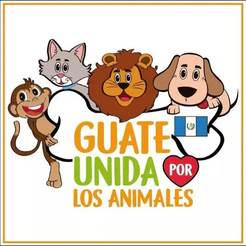 dónde adoptar perritos y gatitos en Guatemala