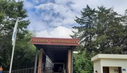 ¿Qué es un colegio profesional en Guatemala y por qué es obligatorio?