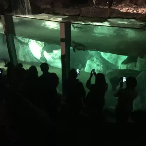 Noches de Luna, actividad anual en Guatemala