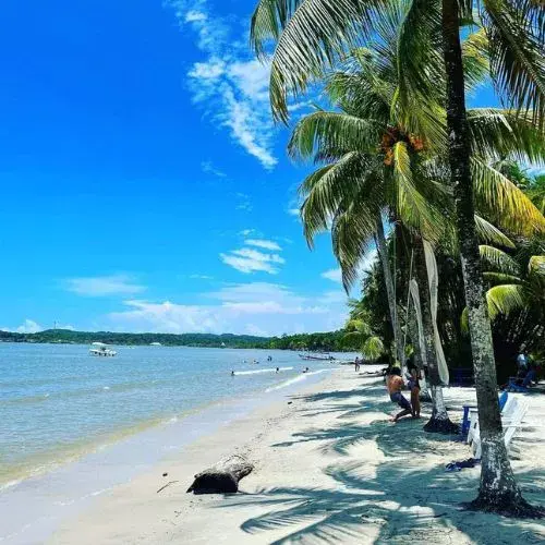 las buenas noticias en Guatemala del 2016