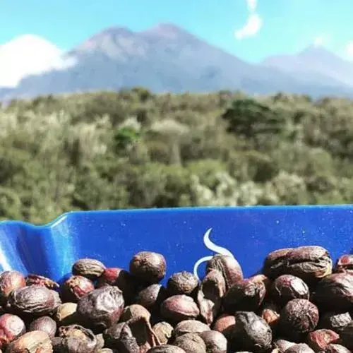 reconocimientos de Guatemala en el 2016